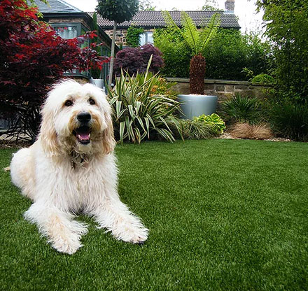 Artificial Grass Bridgwater