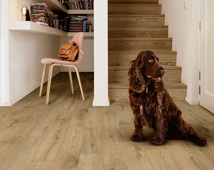 Flooring Bridgwater