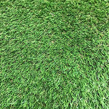 Luxury Lawn Artificial Grass